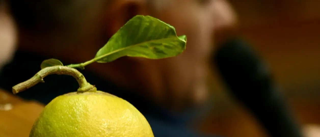 Polemica sul Campionato del Bergamotto in Pasticceria a Reggio, Conpait a Massari: «Non coinvolge i pasticceri reggini»