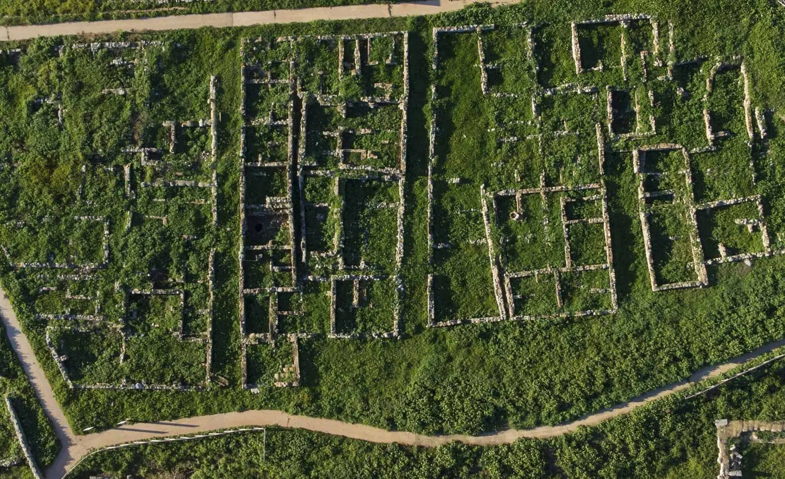 Il bilancio 2024 al Parco Archeologico di Locri Epizefiri