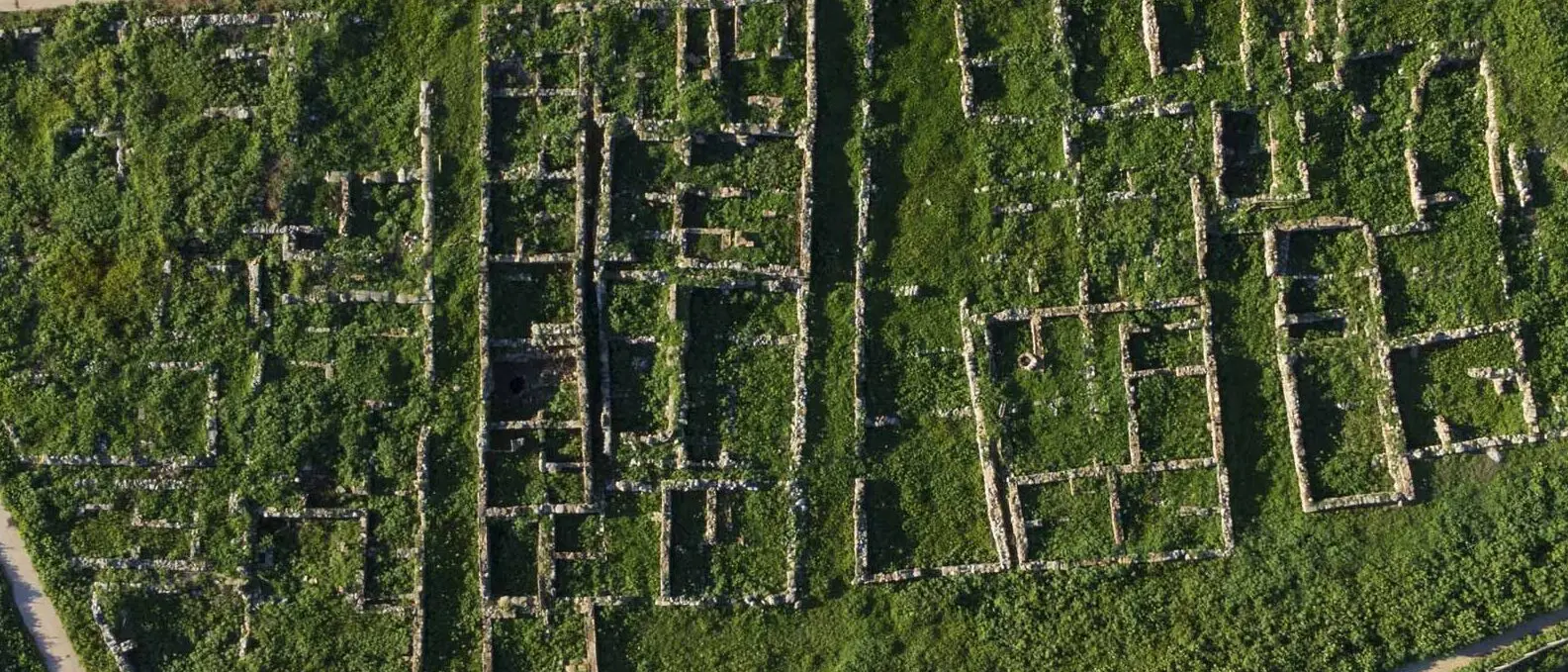 Il bilancio 2024 al Parco Archeologico di Locri Epizefiri