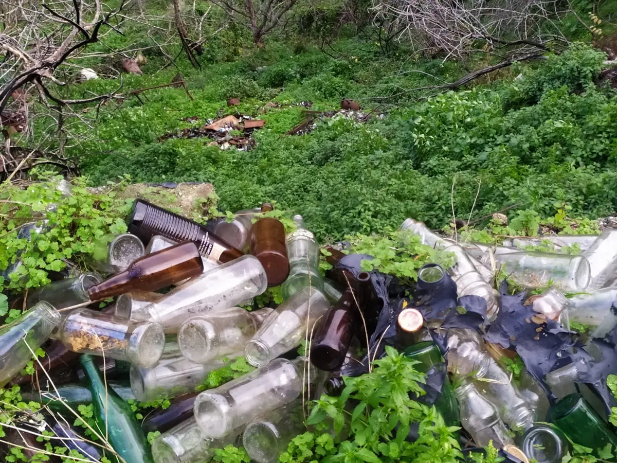 Degrado ambientale e pericoli per la salute, i dubbi del comitato di Mosorrofa: «In poche settimane un decesso e tre nuovi casi di tumore. C’è un legame?»