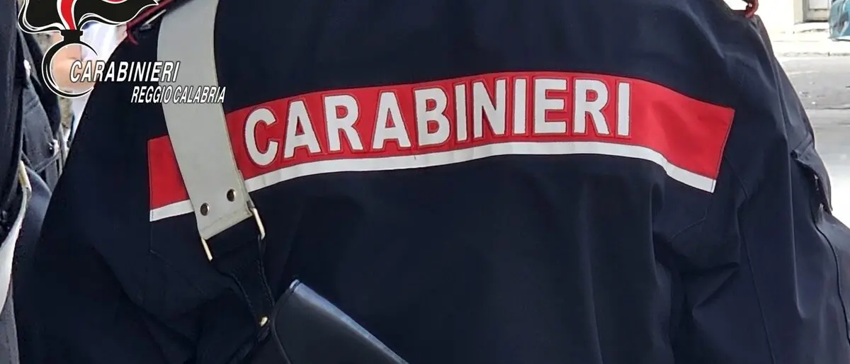 Cosenza, rifiuti speciali abbandonati in aree agricole: in corso operazione del Noe