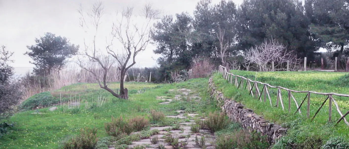 Gente in Aspromonte organizza l'escursione dei \"Sentieri dimenticati\"