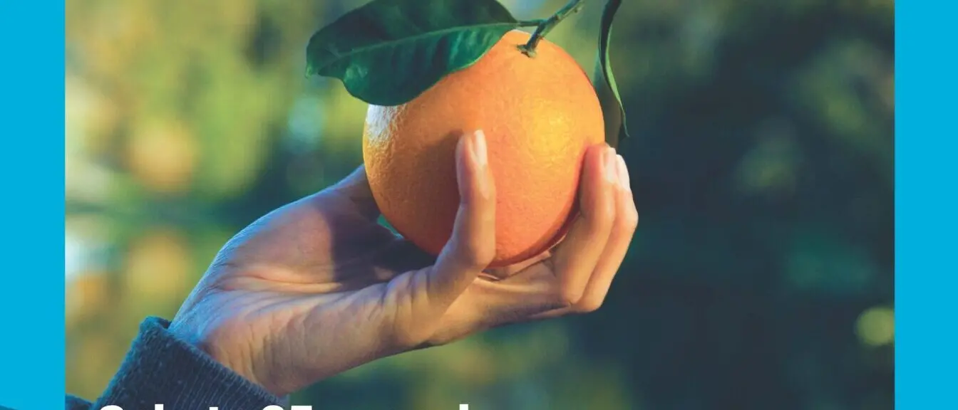 AIRC: sabato 25 gennaio a Piazza Camagna tornano le arance della salute