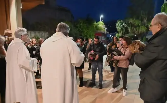 Reggio, benedizione degli animali: un invito alla responsabilità verso il Creato