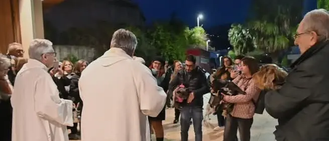 Reggio, benedizione degli animali: un invito alla responsabilità verso il Creato