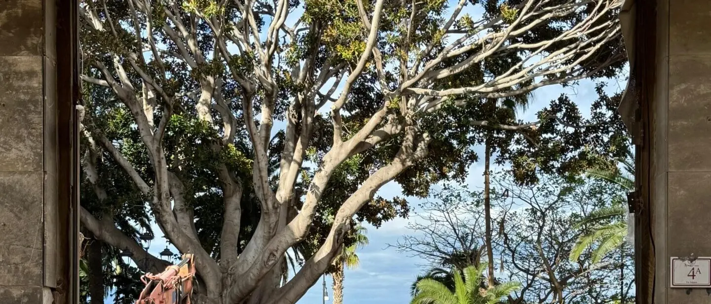 Reggio, proseguono i lavori all'ex cinema Orchidea