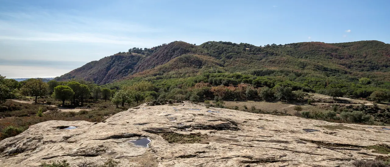 Il 26 gennaio nuova escursione dell'associazione \"Gente in Aspromonte\"