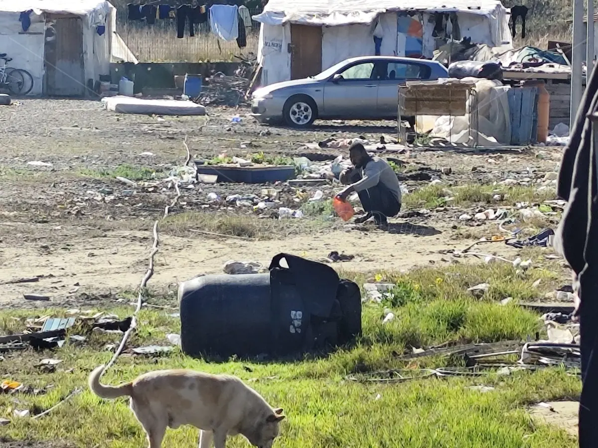 Baracche in legno, teloni, lamiere e fango: nella tendopoli di San Ferdinando regna il degrado e la dignità può attendere - FOTO e VIDEO