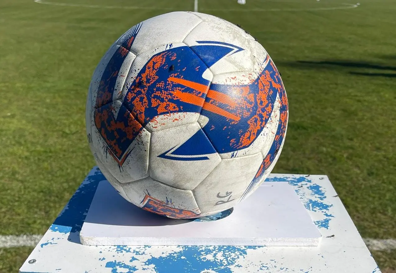 La Reggina si gioca le sue chances, lì dove il merito sportivo rischia di contare meno dei bilanci truccati