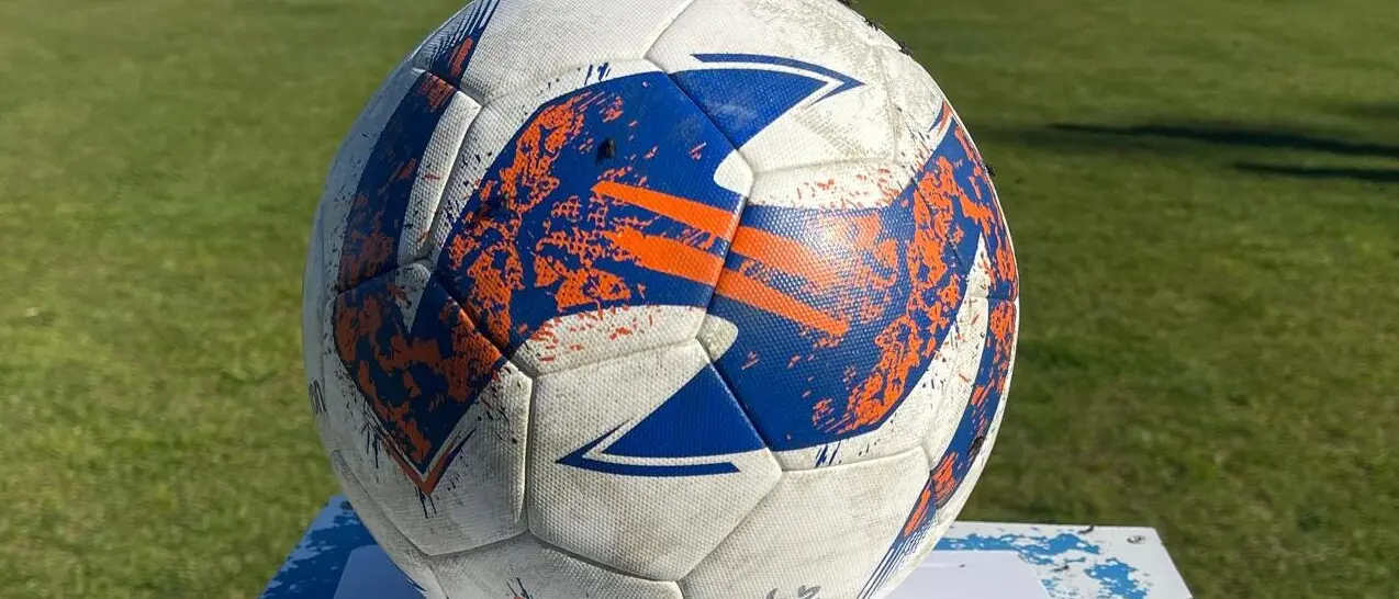 La Reggina si gioca le sue chances, lì dove il merito sportivo rischia di contare meno dei bilanci truccati