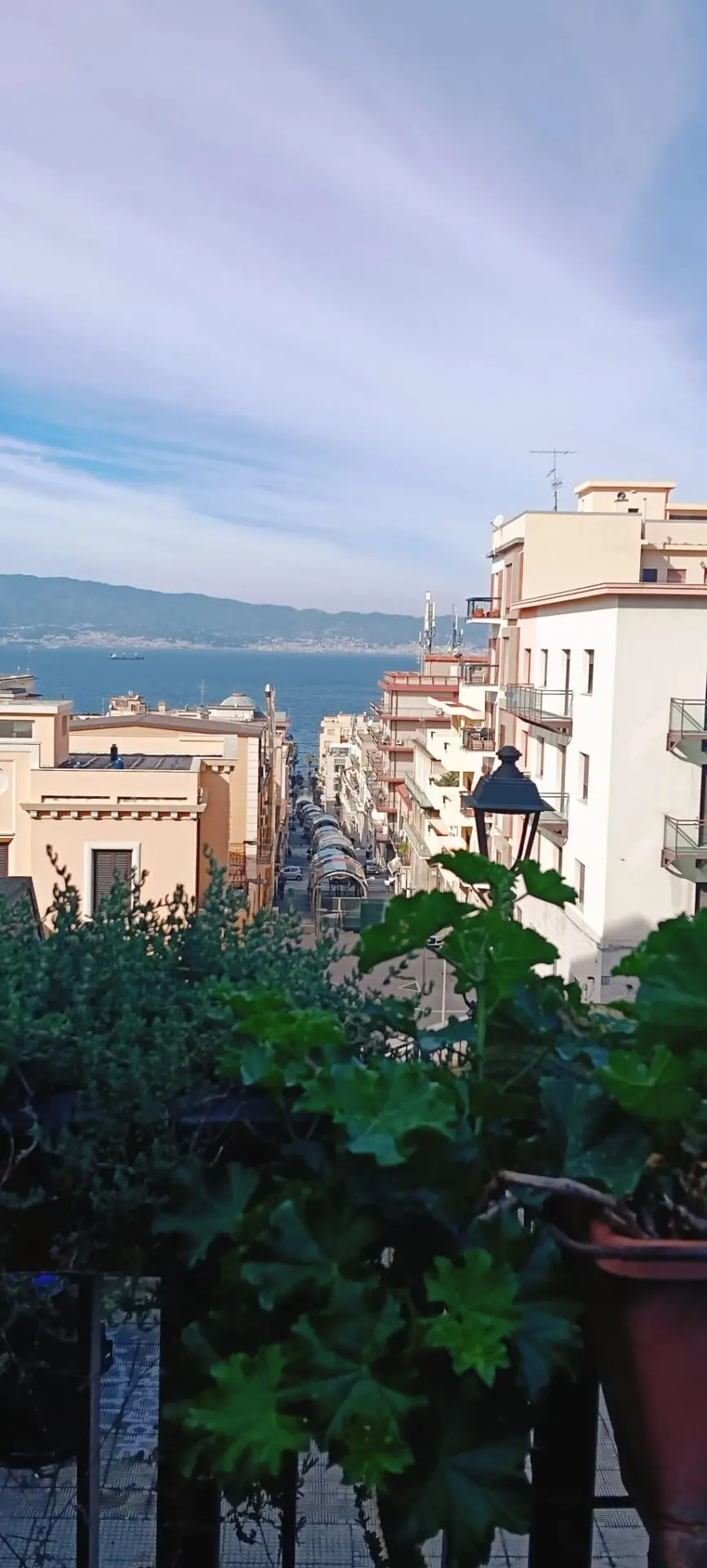 Reggio, la comunità della Giudecca \"adotta\" il verde dell'intera via