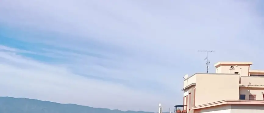 Reggio, la comunità della Giudecca \"adotta\" il verde dell'intera via