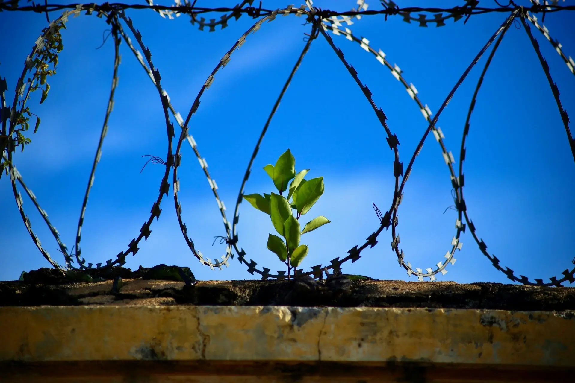 A Roccella Jonica la conferenza di bilancio del Progetto “Pro.Me.”