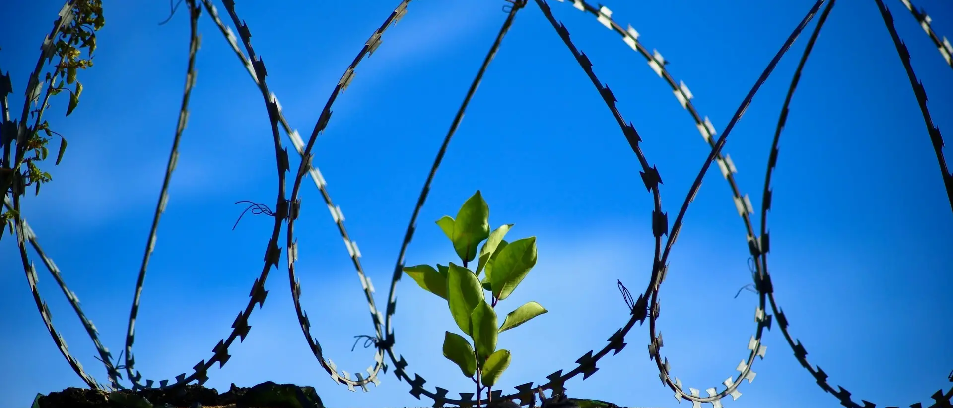 A Roccella Jonica la conferenza di bilancio del Progetto “Pro.Me.”