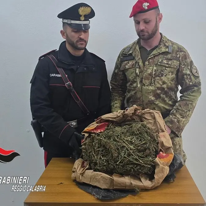 Roccaforte del Greco, rinvenuto e sequestrato un chilo e mezzo di marijuana