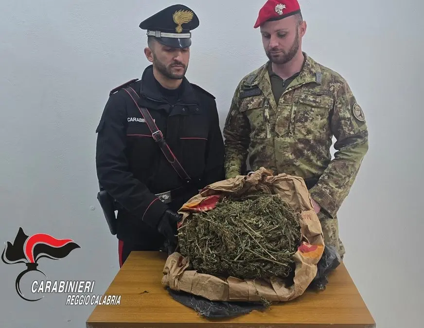 Roccaforte del Greco, rinvenuto e sequestrato un chilo e mezzo di marijuana