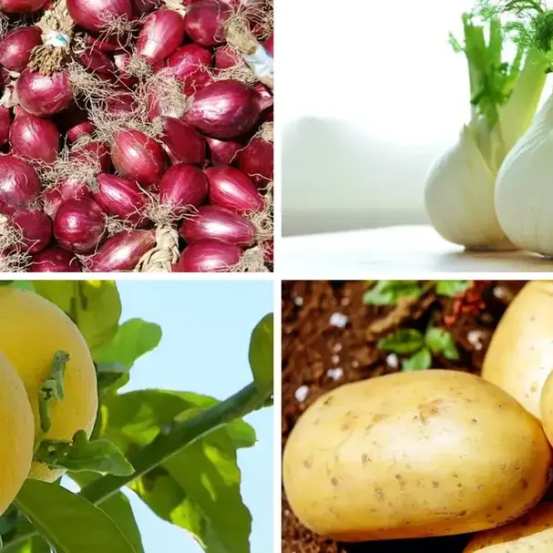 Calabria protagonista a Fruit Logistica 2025: le eccellenze ortofrutticole della regione in vetrina a Berlino