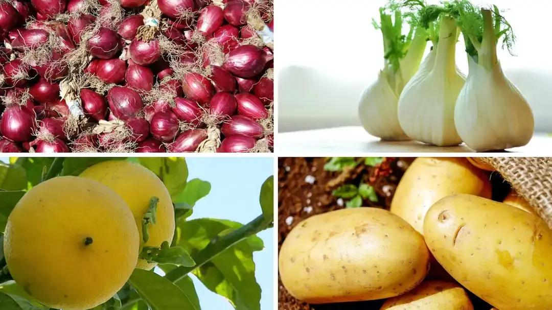 Calabria protagonista a Fruit Logistica 2025: le eccellenze ortofrutticole della regione in vetrina a Berlino