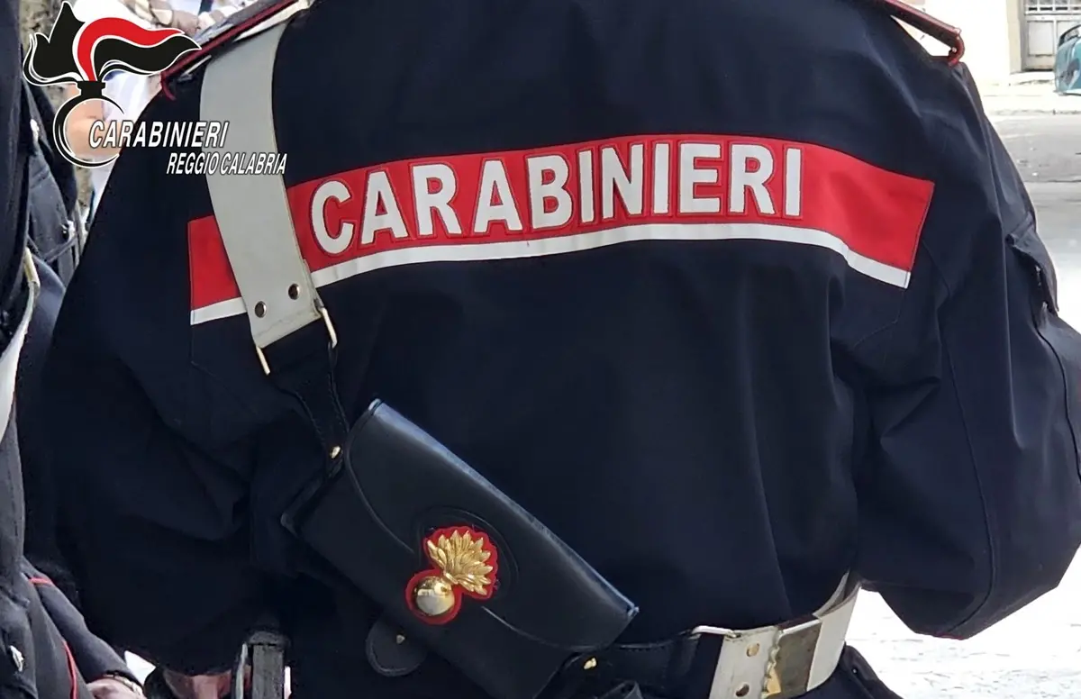 Gioia Tauro, rinvenuti 80 kg di marijuana in un barile e una stanza segreta dietro la parete del bagno - VIDEO