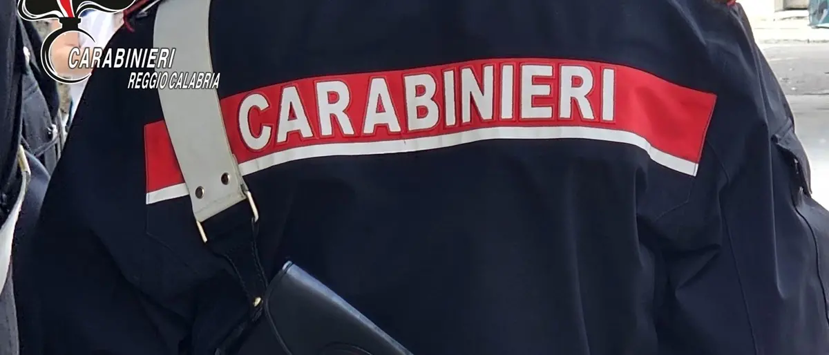 Gioia Tauro, rinvenuti 80 kg di marijuana in un barile e una stanza segreta dietro la parete del bagno - VIDEO