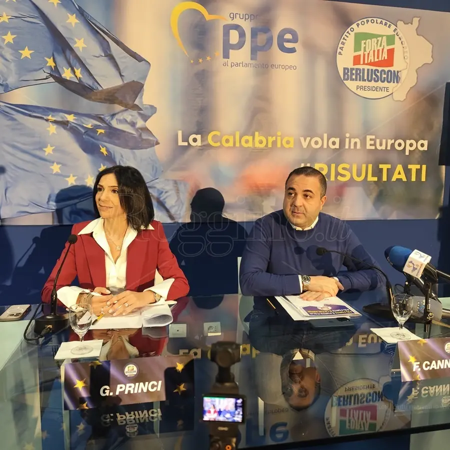 La Calabria a Bruxelles, il punto di Forza Italia e l’annuncio di Princi: «Metsola a giugno in Calabria»