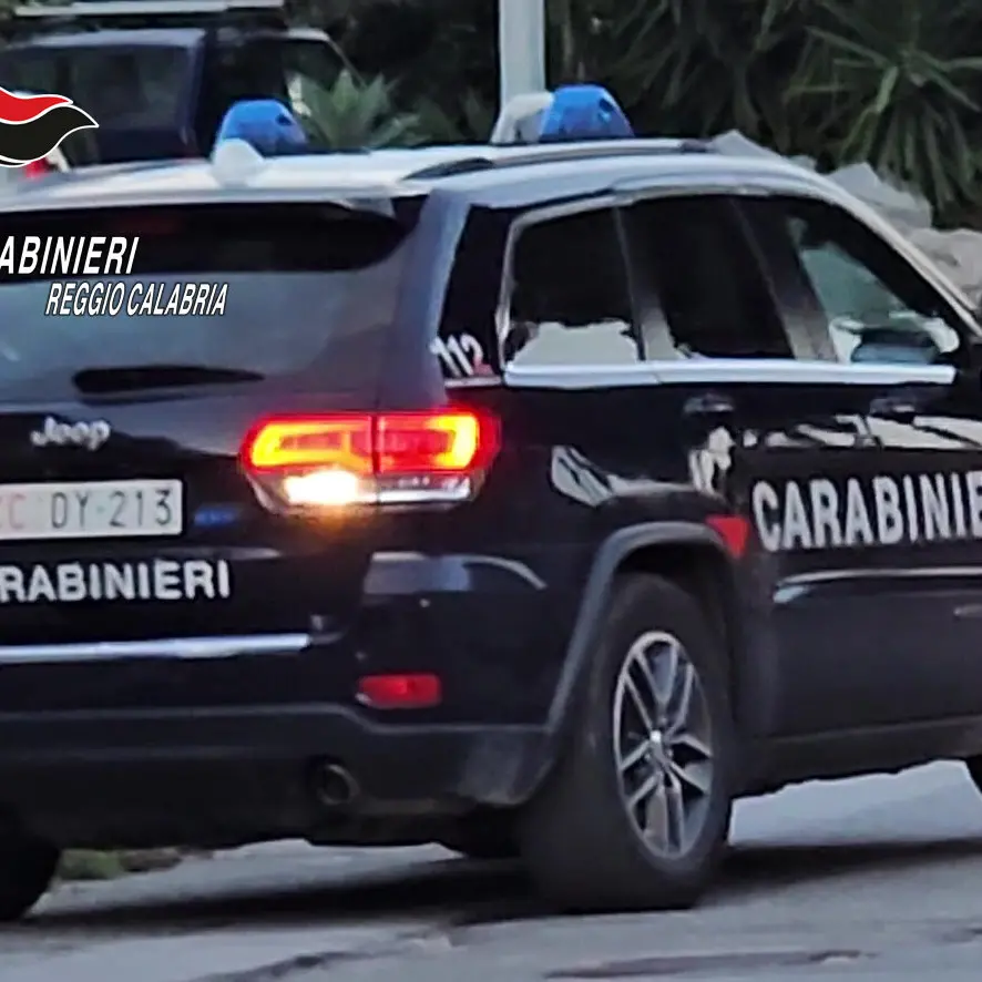 Reggio: smantellata fabbrica di droga, 1800 piante di marijuana e oltre 170 kg di stupefacenti sequestrati