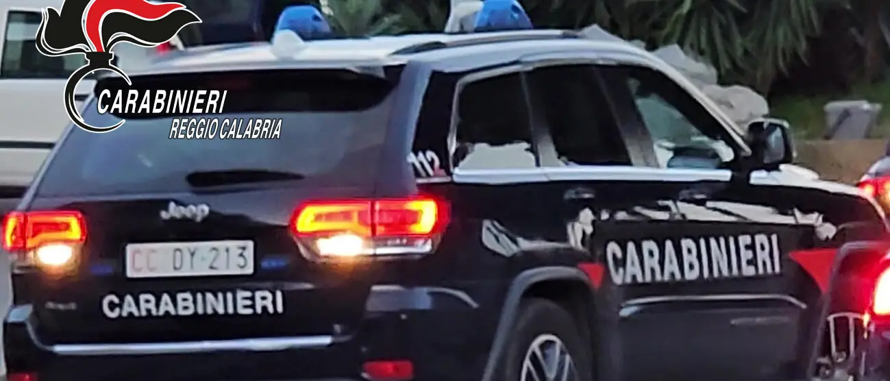 Reggio: smantellata fabbrica di droga, 1800 piante di marijuana e oltre 170 kg di stupefacenti sequestrati