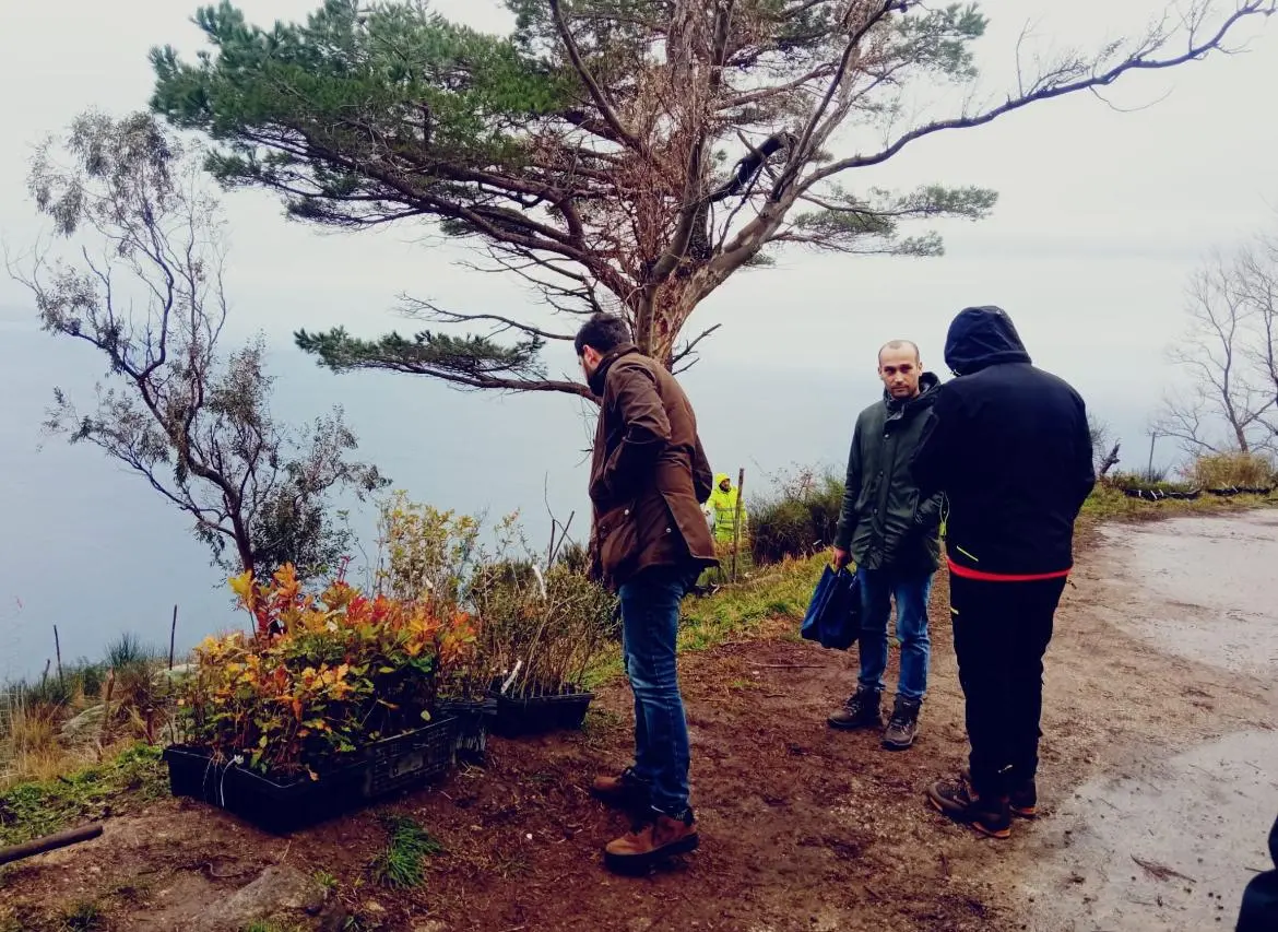 Proseguono i lavori di riforestazione sul Monte Sant'Elia di Palmi