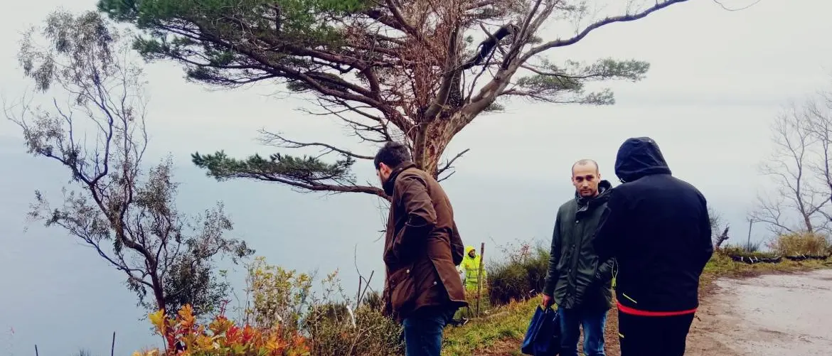 Proseguono i lavori di riforestazione sul Monte Sant'Elia di Palmi