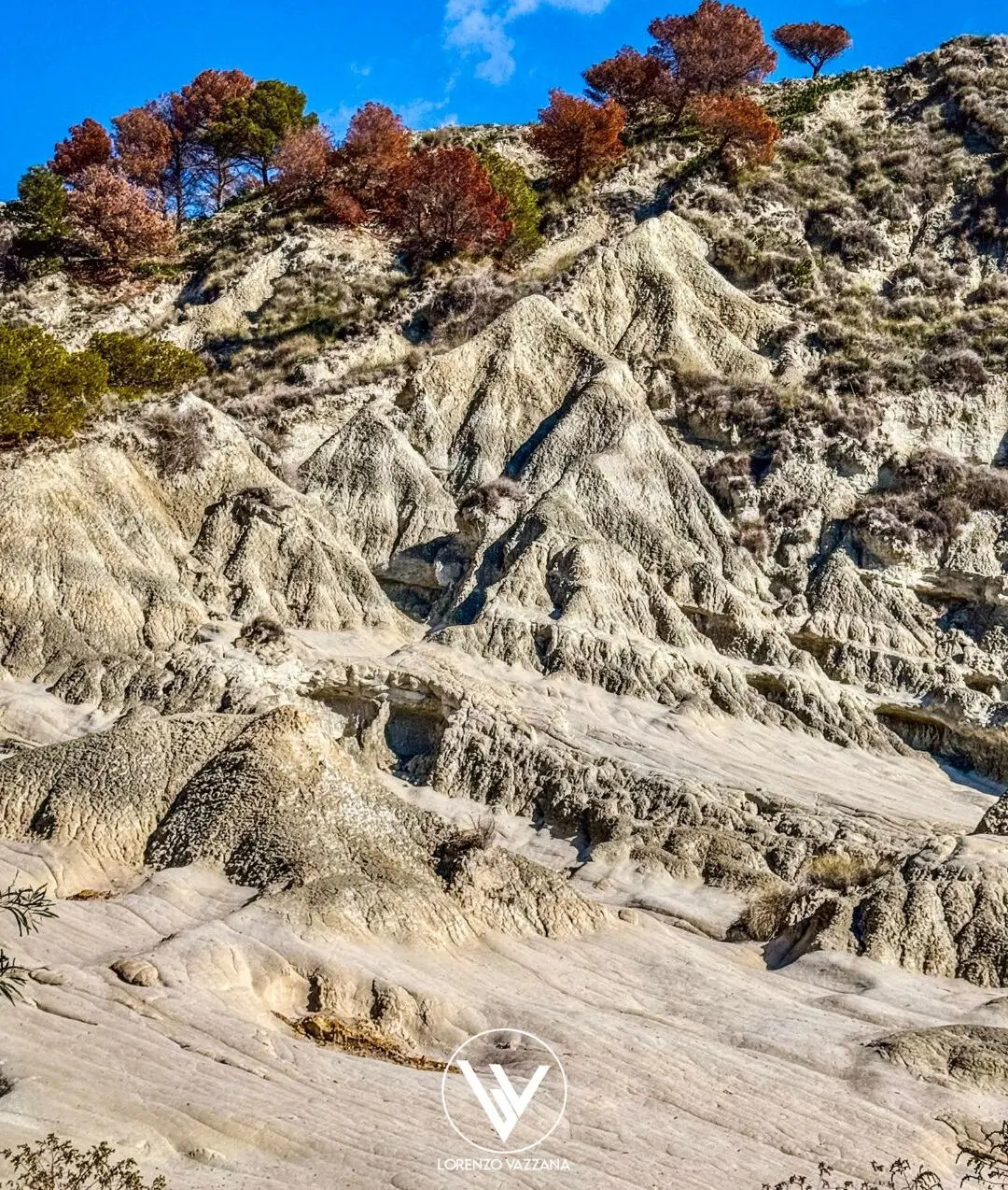 LA FOTO DEL GIORNO | I Calanchi di Palizzi: un frammento di luna sulla terra, dove il tempo si sgretola tra luce e vento