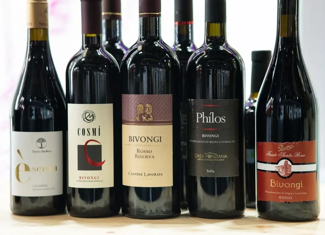 I vini del Consorzio Bivongi alla Fiera di Parigi