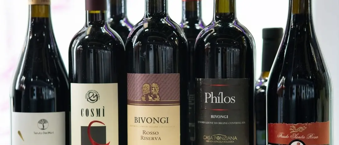 I vini del Consorzio Bivongi alla Fiera di Parigi