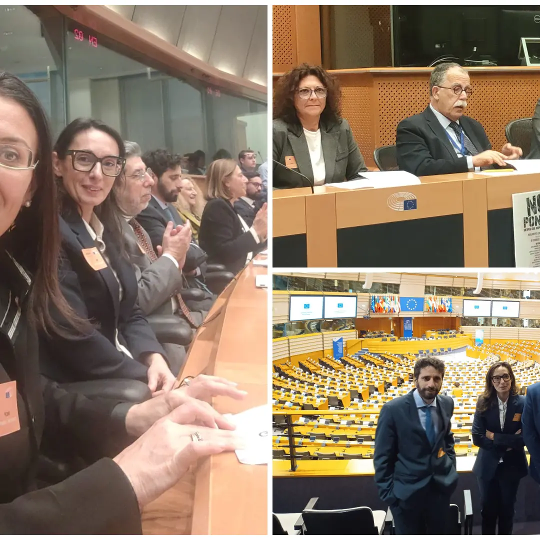 A Bruxelles il fronte progressista europeo contro il Ponte sullo Stretto: «Un'opera senza progetto né pareri ambientali»