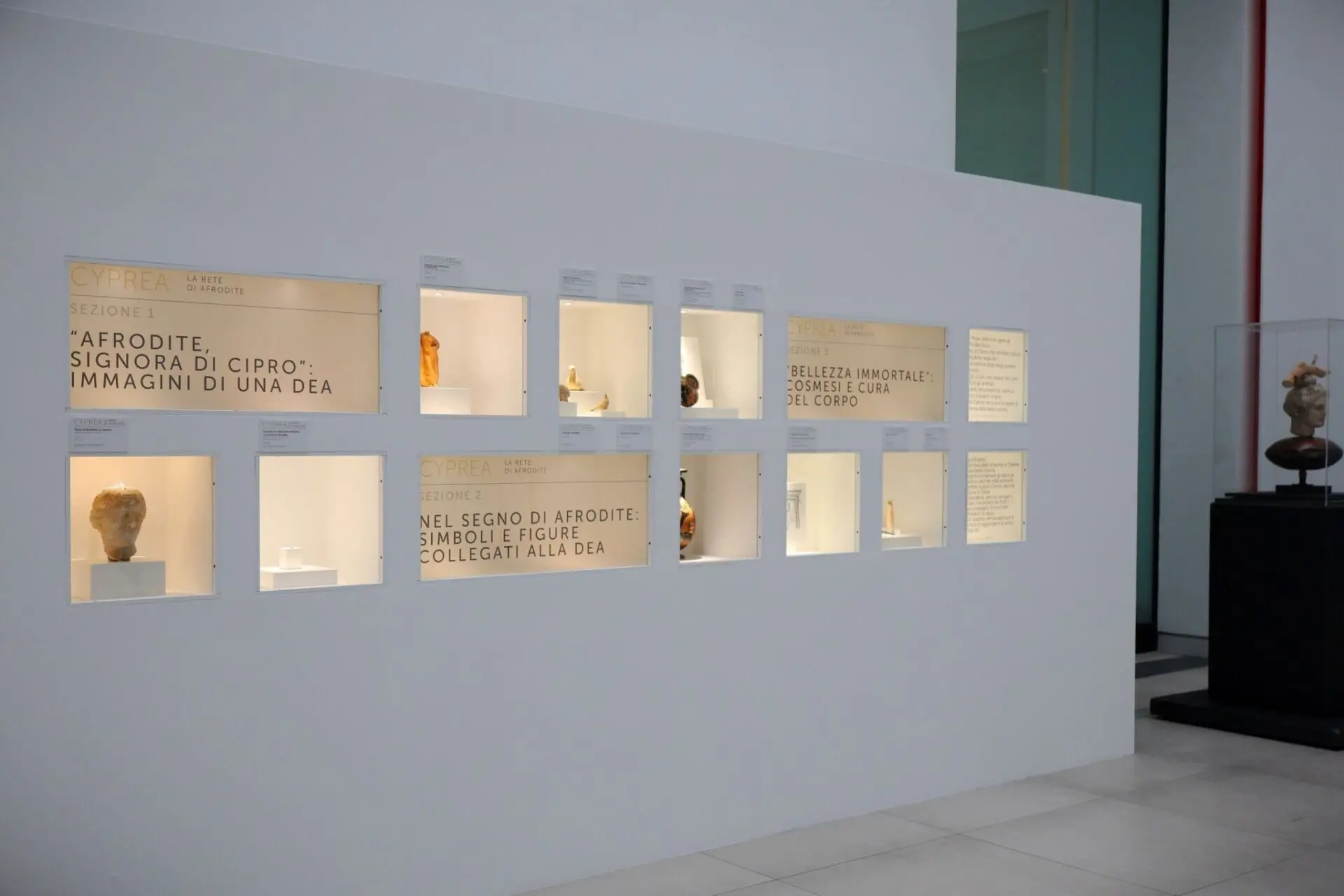 Approda a Reggio Calabria 'Cyprea: la rete di Afrodite