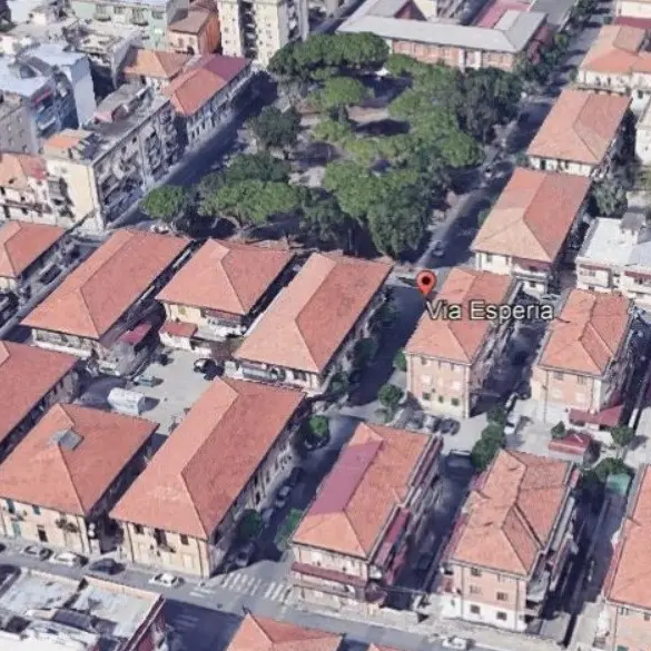 Reggio, al via la riqualificazione dei viali alberati della zona nord della città