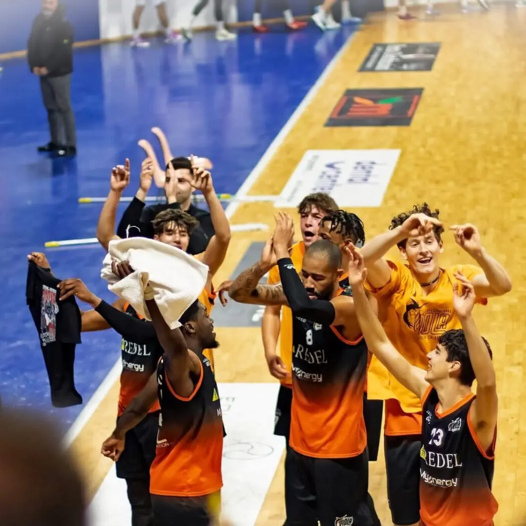 La Redel Viola trionfa contro la Dinamo Brindisi
