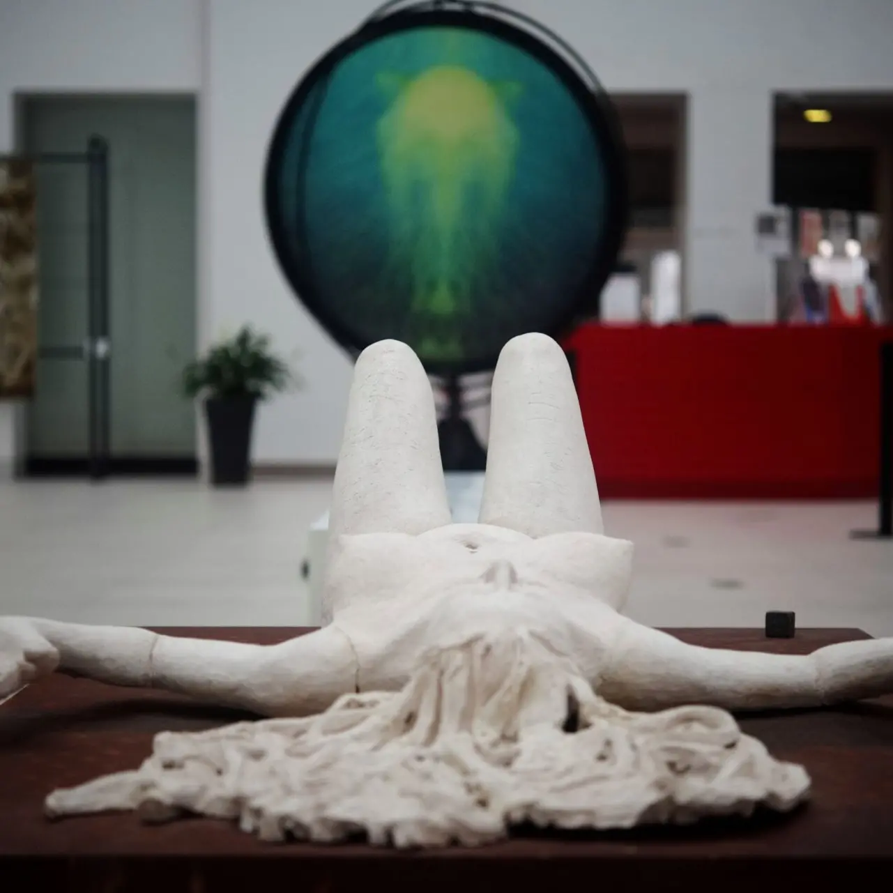 Reggio, al Museo la mostra \"Cyprea: la rete di Afrodite\", l'esposizione che intreccia arte contemporanea e archeologia