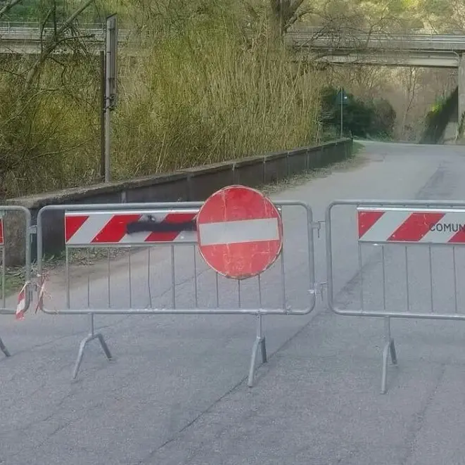 Bivongi, si apre voragine sulla provinciale: strada interrotta