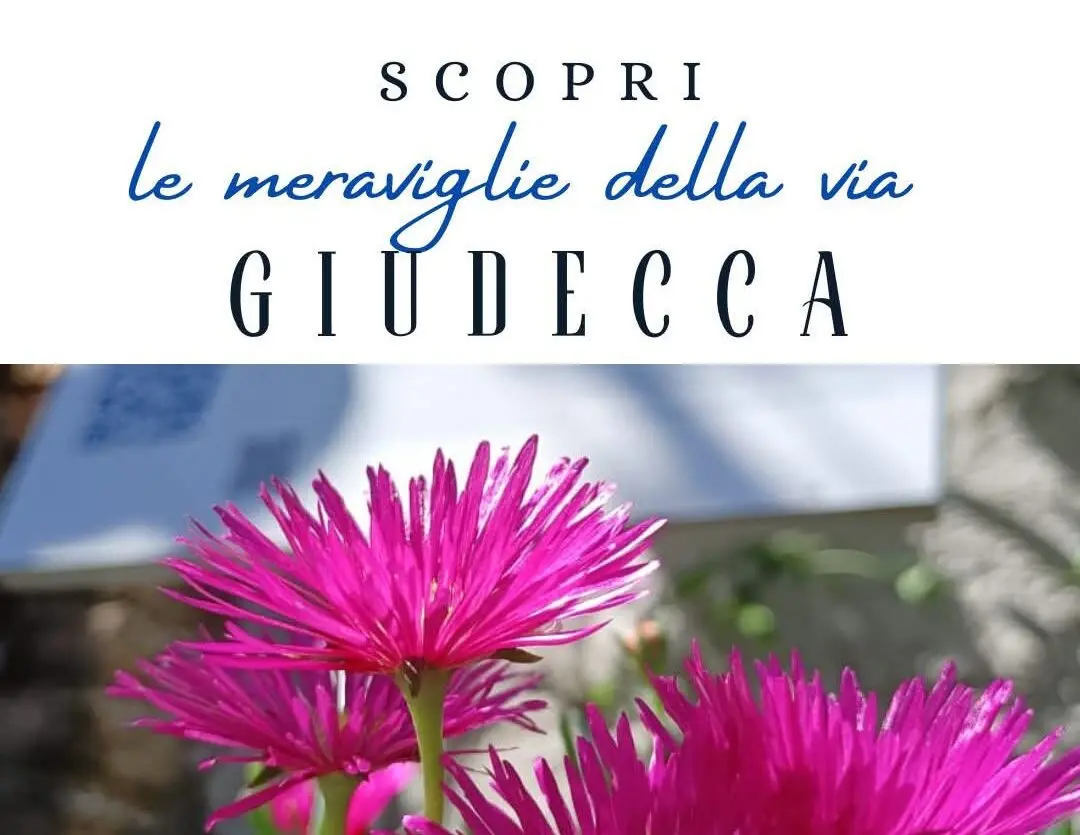 Reggio, al via“Le meraviglie della Giudecca”: le attività della comunità Patrimoniale