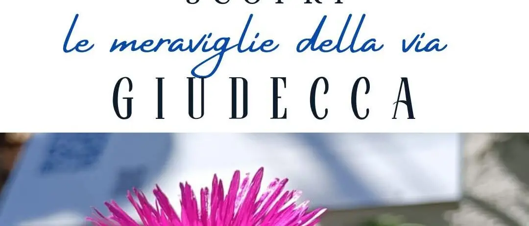 Reggio, al via“Le meraviglie della Giudecca”: le attività della comunità Patrimoniale