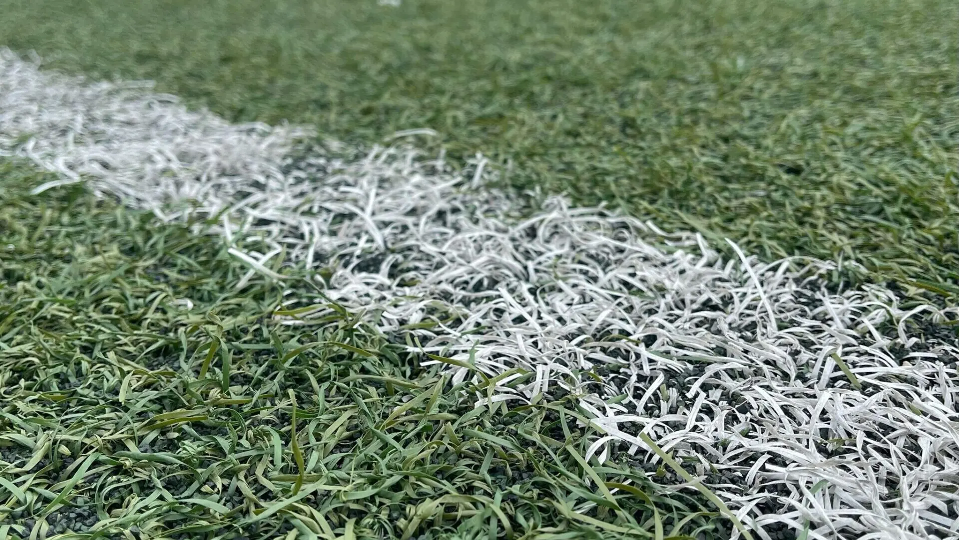 Reggina, mister Trocini convoca 20 giocatori per la trasferta di Paternò: assenti Giuliodori e Salandria, torna Curiale