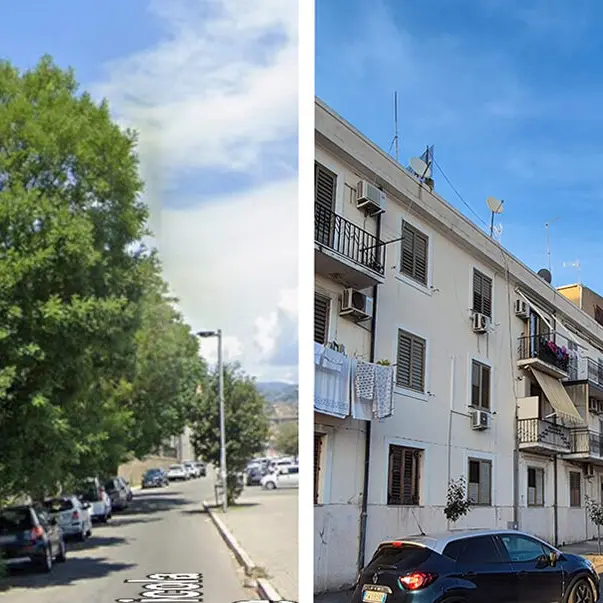 Reggio, Cai e Legambiente segnalano abbattimenti di alberature nella zona nord della città