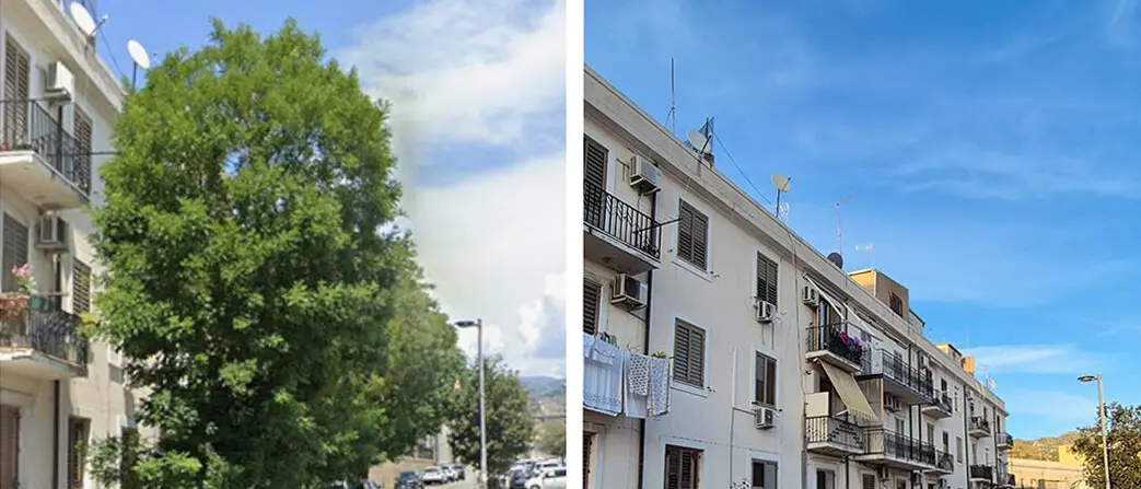 Reggio, Cai e Legambiente segnalano abbattimenti di alberature nella zona nord della città