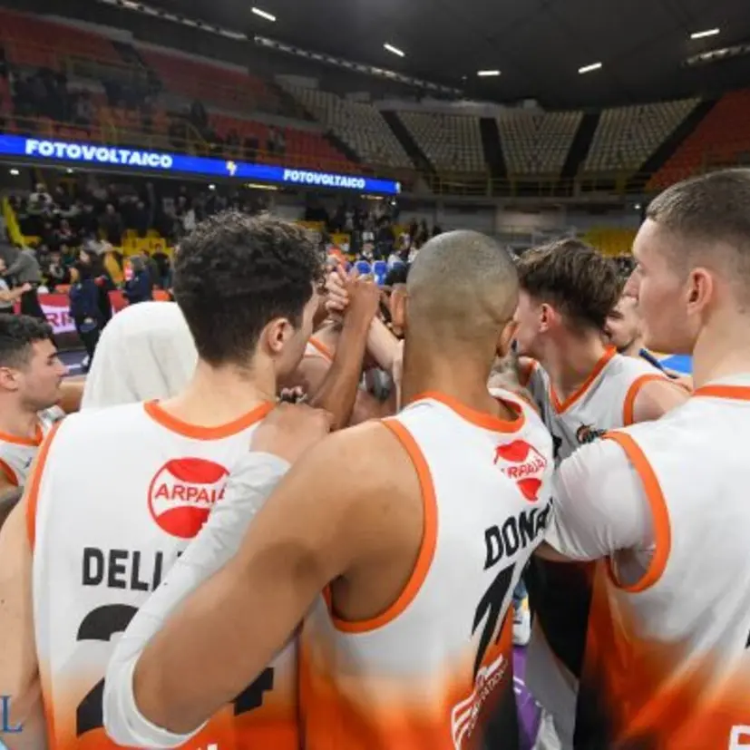 Basket, domani prima casalinga della Viola: al PalaCalafiore arriva la Virtus Molfetta