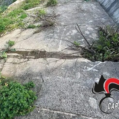 Gioia Tauro, controlli dei Carabinieri per la tutela dell'ambiente e della salute, sei le denunce
