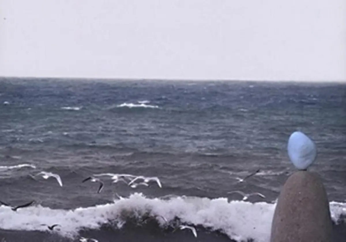 Reggio, domani la presentazione del romanzo “I giorni del mare” di Caterina Adriana Cordiano