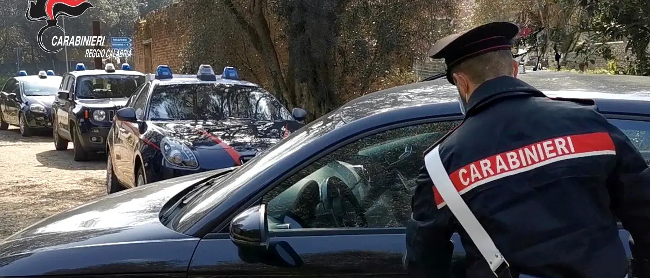 Gioia Tauro, Carabinieri salvano cane denutrito e malato, denunciato il proprietario