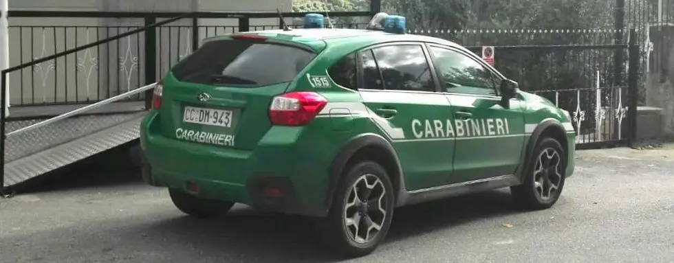 Truffa all'Ente Parco d'Aspromonte e Calabria Verde: sequestrati beni per 15 mila euro