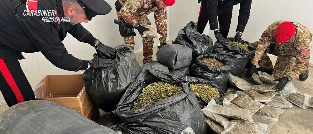Grotteria, un intero stock di marijuana nascosto in casa: arrestato un 35enne - VIDEO