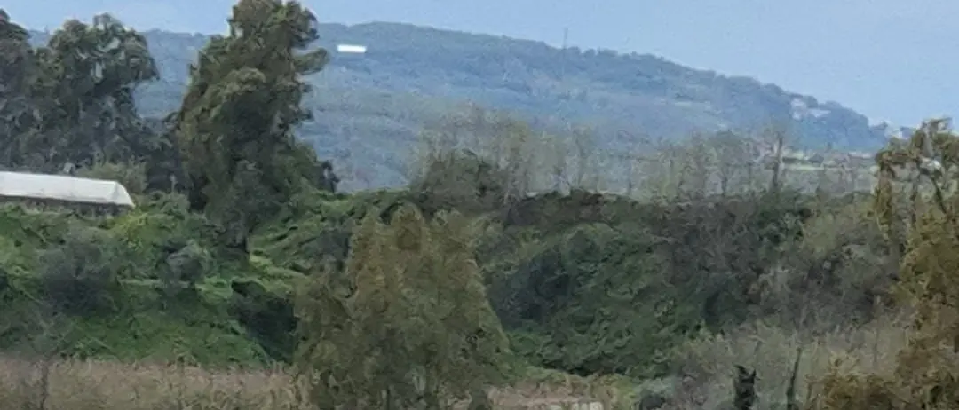 Grave incidente sull'A2 tra Rosarno e Gioia Tauro, auto precipita nel fosso: due feriti